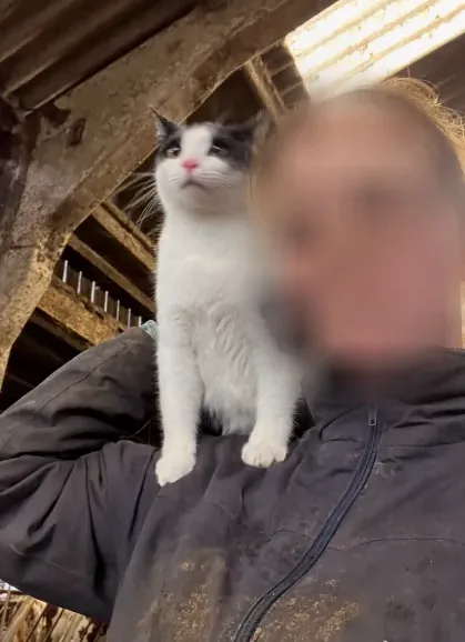 Nicoline, 23